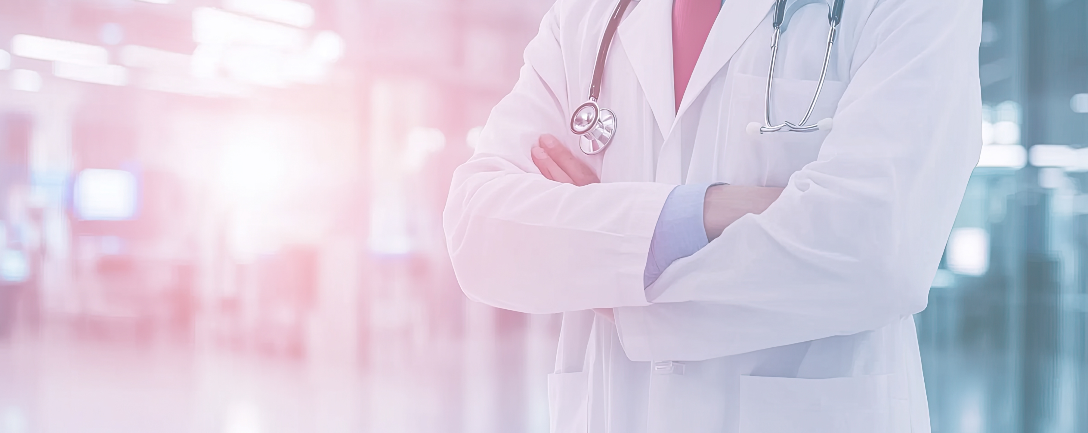 ファストビュー画像