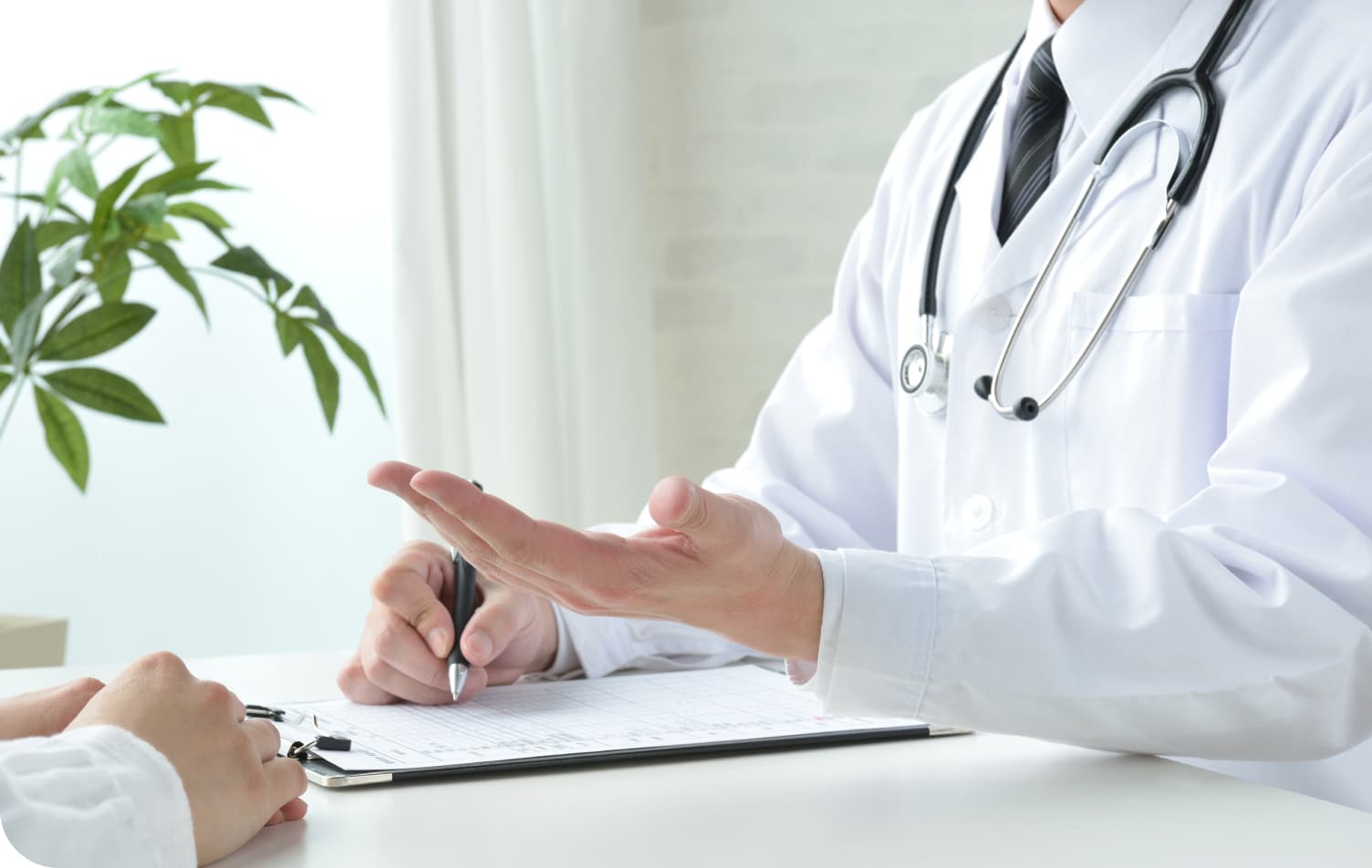 ファストビュー画像